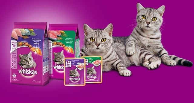 8 Cara Menjadi Supplier Makanan Kucing Modal Kecil, Worth It! 3 Whiskas