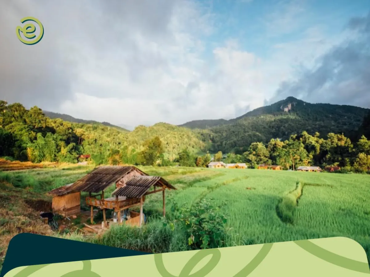 Usaha di Kampung Modal 2 Juta