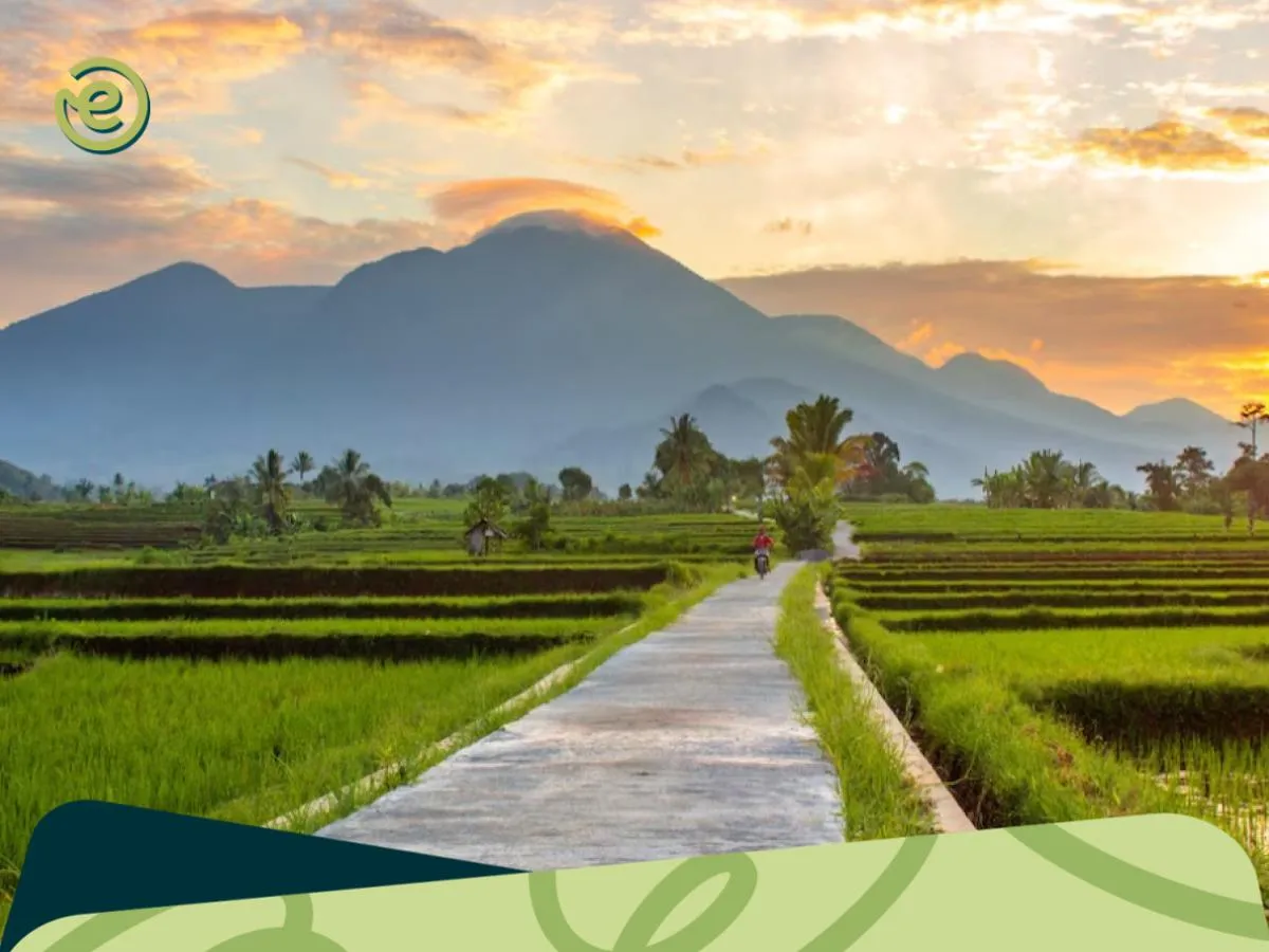 Usaha di Kampung Modal 5 Juta