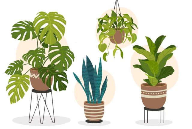 Usaha di Kampung Modal 5 Juta