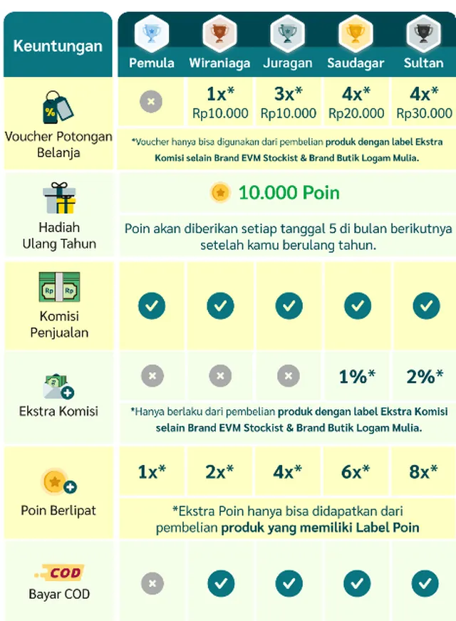 Ragam peringkat Kelas Reseller Evermos dan Keuntungannya